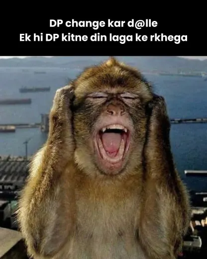 monkey-meme