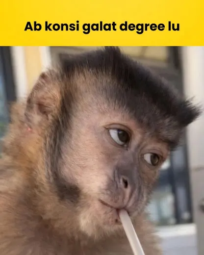 bandar-meme